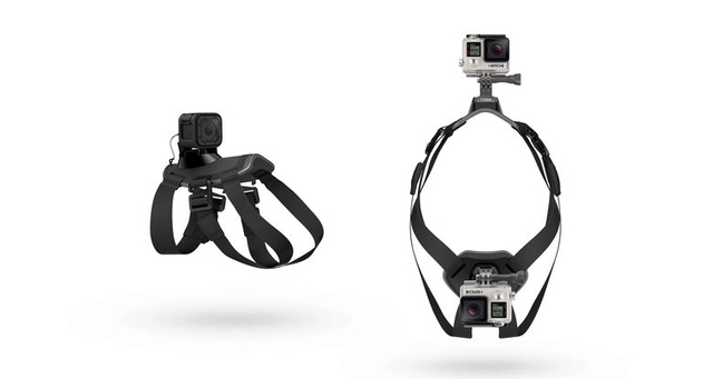 GoPro Fetch Dog Harness All GoPro HERO Cameras 