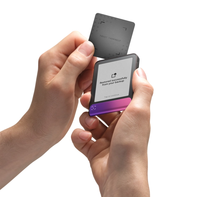 Ledger Flex, inc Recovery Key Crimson Magenta 