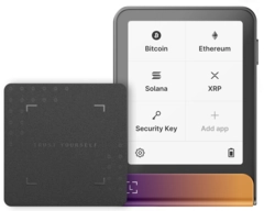 Ledger Flex, inc Recovery Key Ferro Fushia