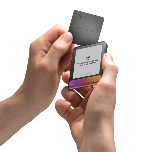 Ledger Flex, inc Recovery Key Ferro Fushia 